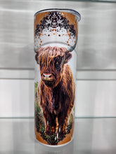 Load image into Gallery viewer, Highland Cow Field Tumbler
